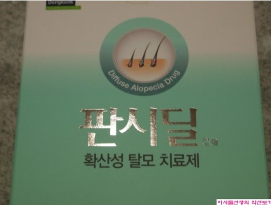 판시딜2.jpg