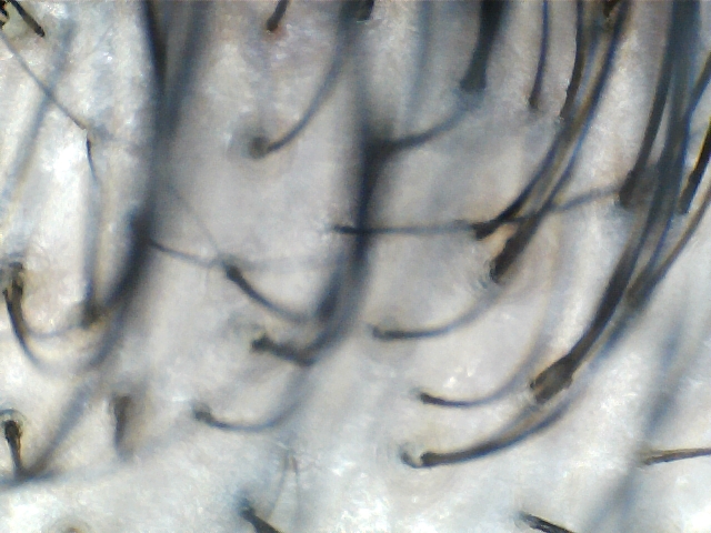 S20151123_0003.jpg