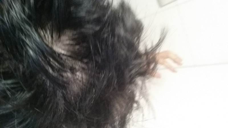 20151208_213517.jpg