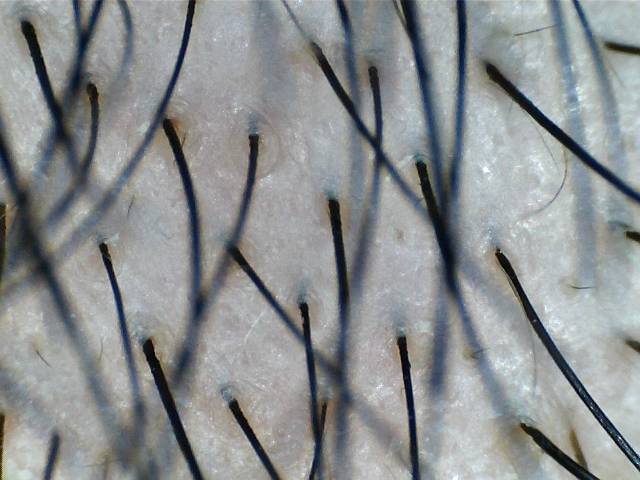 S20160221_0001.jpg