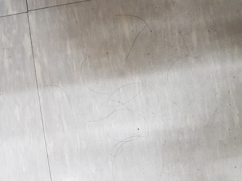 20190613_135622.jpg