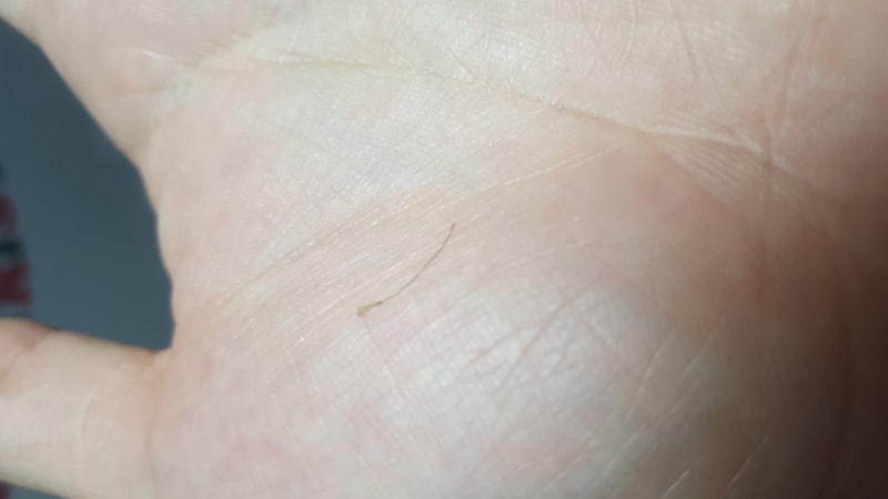 20201214_201627.jpg
