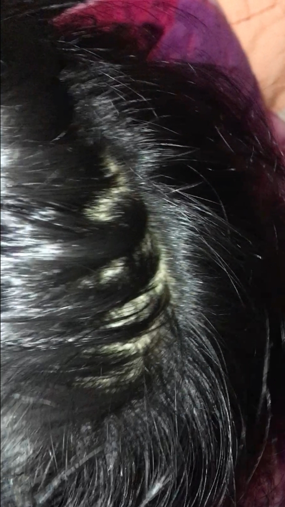 F2681F49-2A0E-4D88-9C80-A7426783D7DA.png
