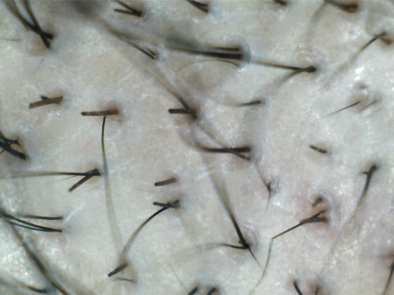 사진 004.jpg
