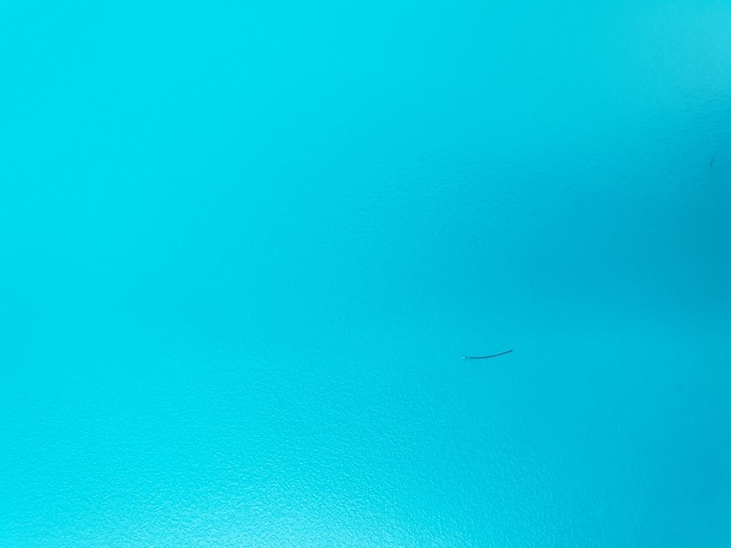 20190131_053131.jpg