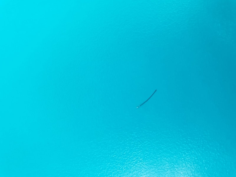 20190131_052834.jpg