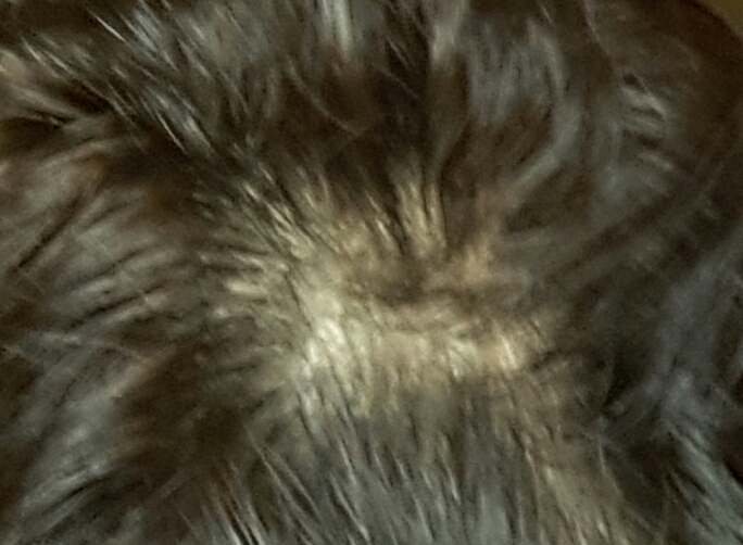 20170626_210528-1.jpg
