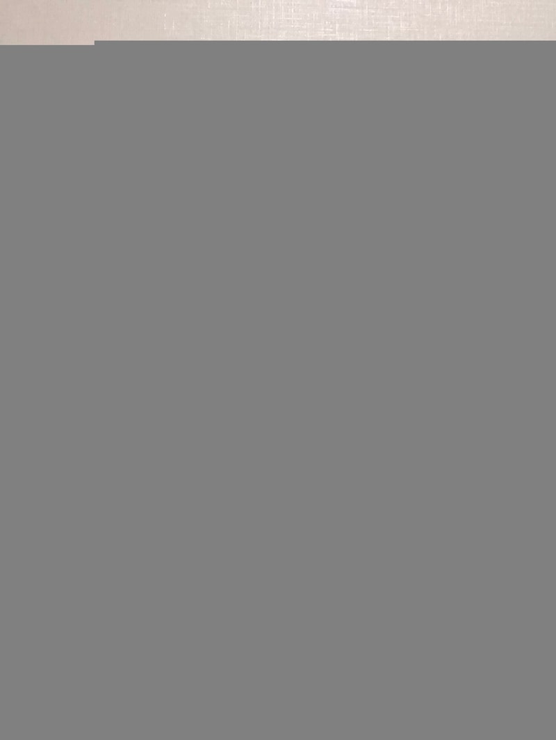 89C92BDD-45BE-47BC-B294-172D0A6ED93F.jpeg