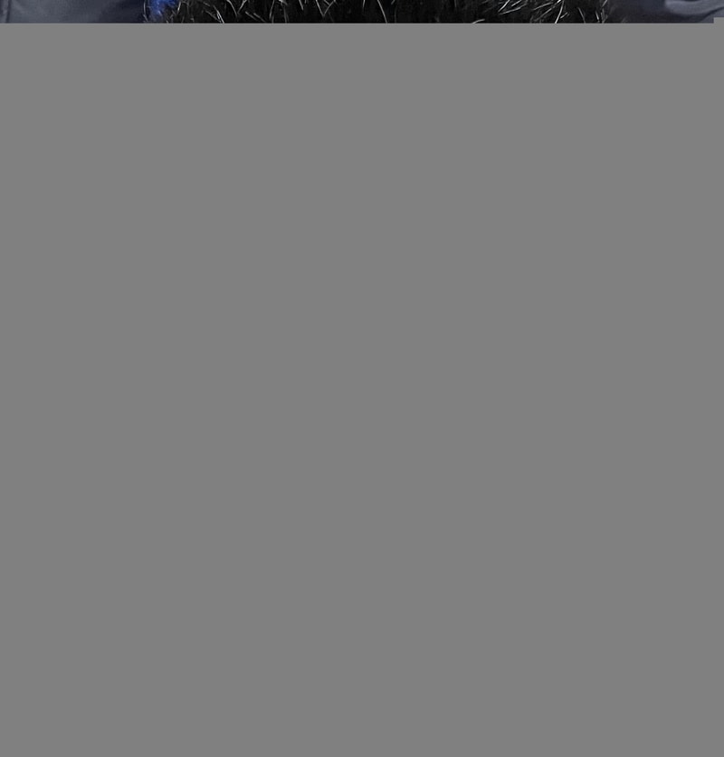 IMG_6838.jpeg