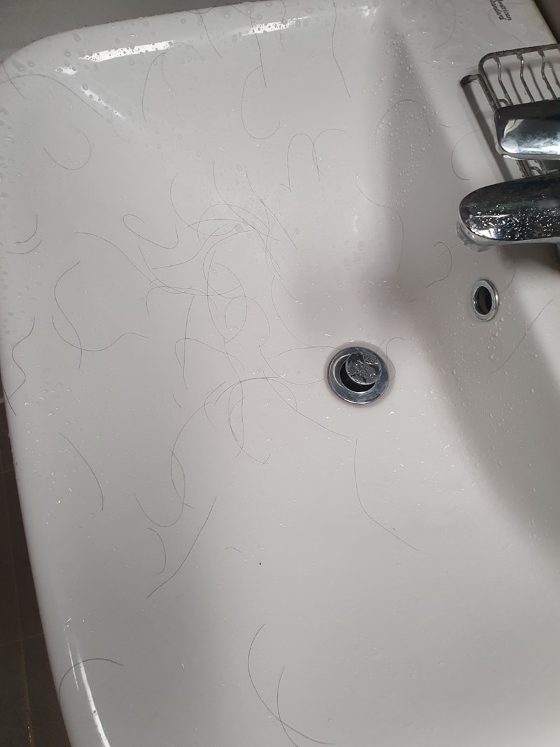 1588753478753.jpg