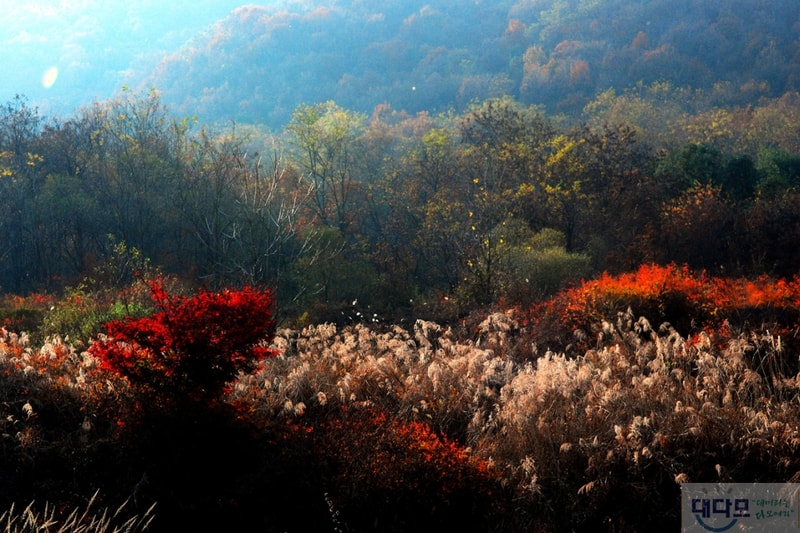 DSC_0015-1.jpg