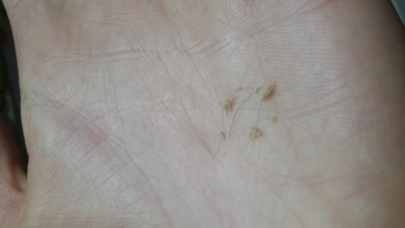 20151219_161842.jpg