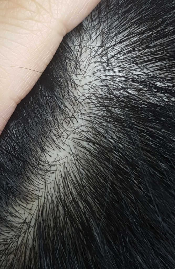 20171121_214839.jpg
