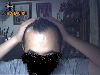 data_sajinqna_head.jpg