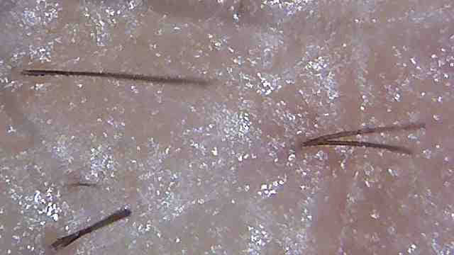 20200808 5.jpg