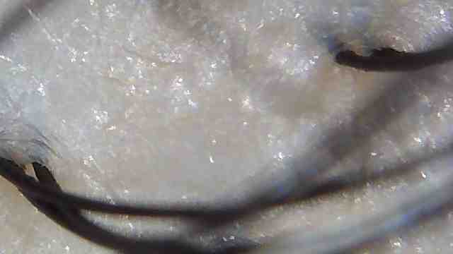 IMG_5714.JPG