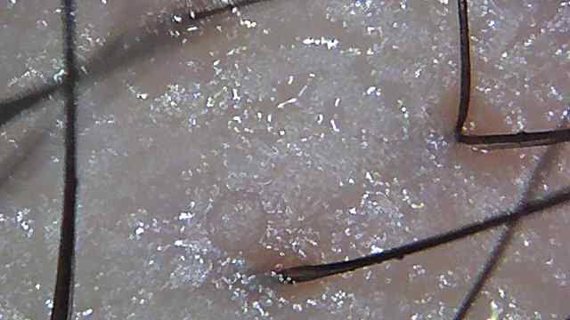 20200808 1.jpg