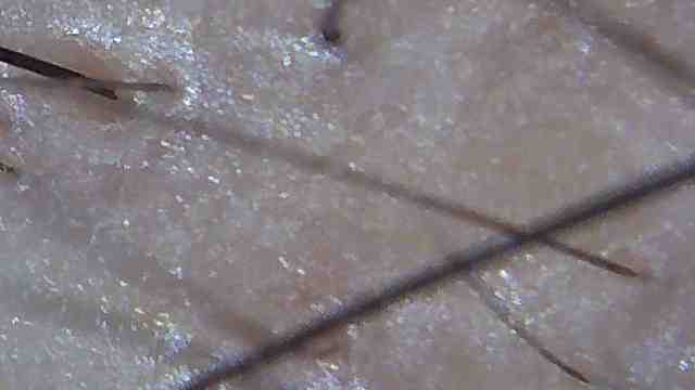 IMG_5705.JPG
