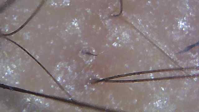 20200808 6.jpg