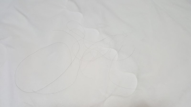 20180512_032209.jpg