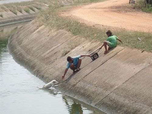 Helping Hands.jpg