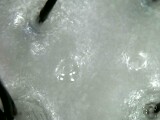 IPC_2021-09-25.21.20.59.7730.jpg