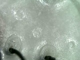IPC_2021-09-25.21.22.33.4050.jpg