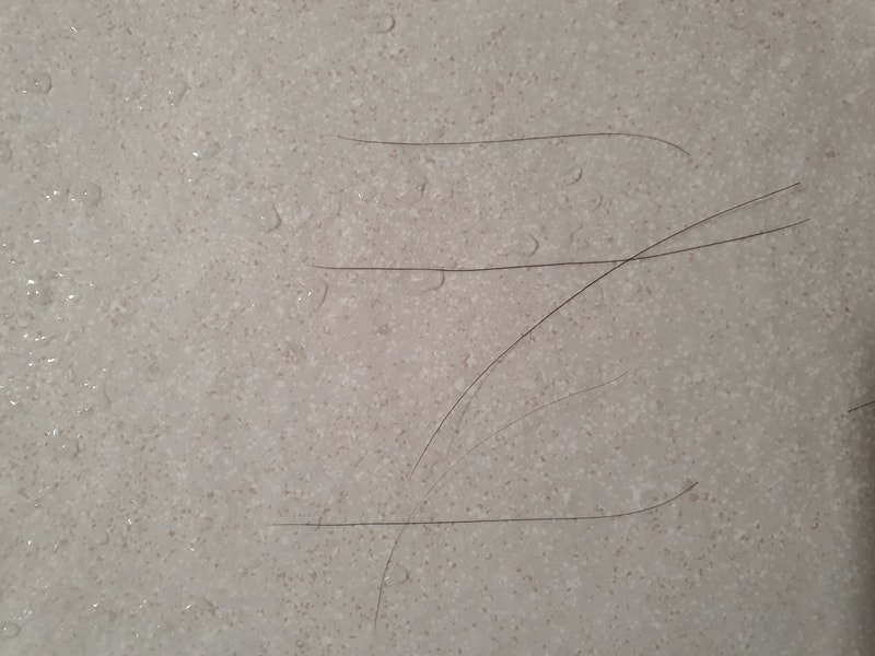 20220418_151709.jpg