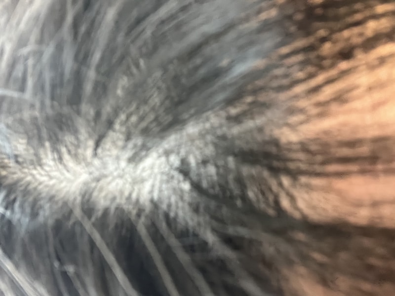 IMG_5291.jpeg