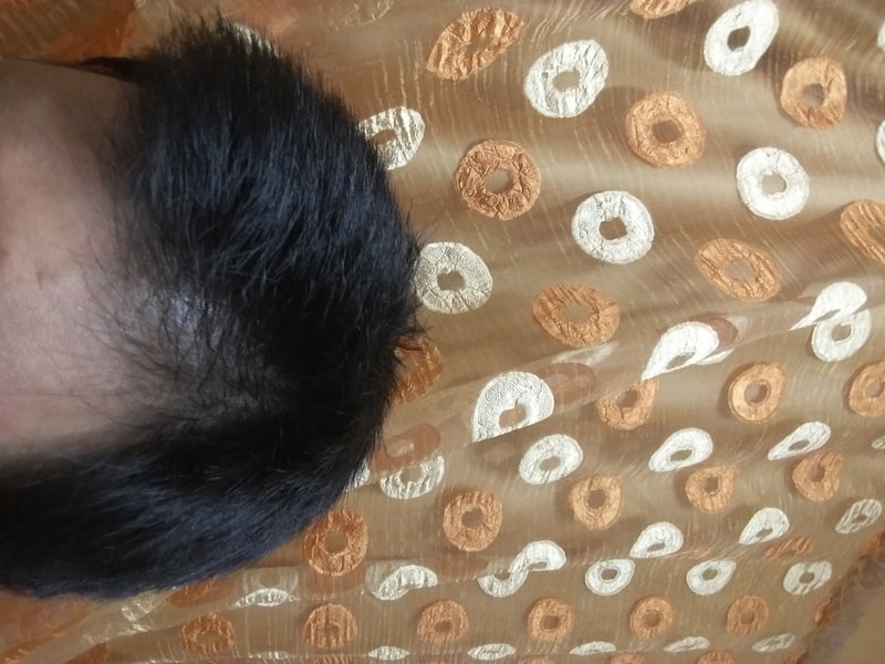 20181001_205243.jpg