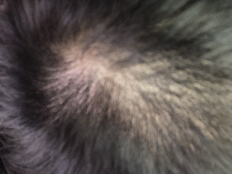 9A03C3CD-16DD-4E41-A0AE-D7E69D294E38.jpeg