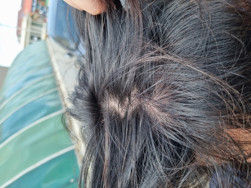 20210724_140622.jpg