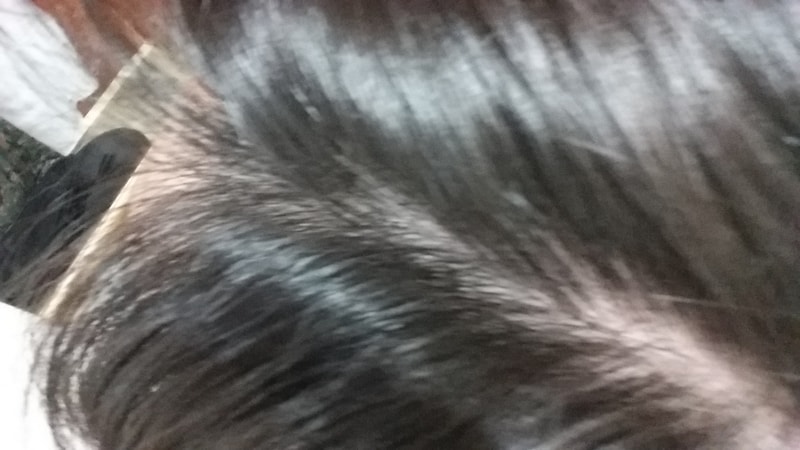 20170327_000152.jpg