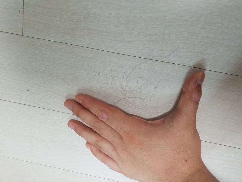 20180902_125341.jpg