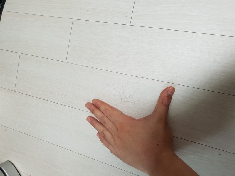 20180902_125335.jpg
