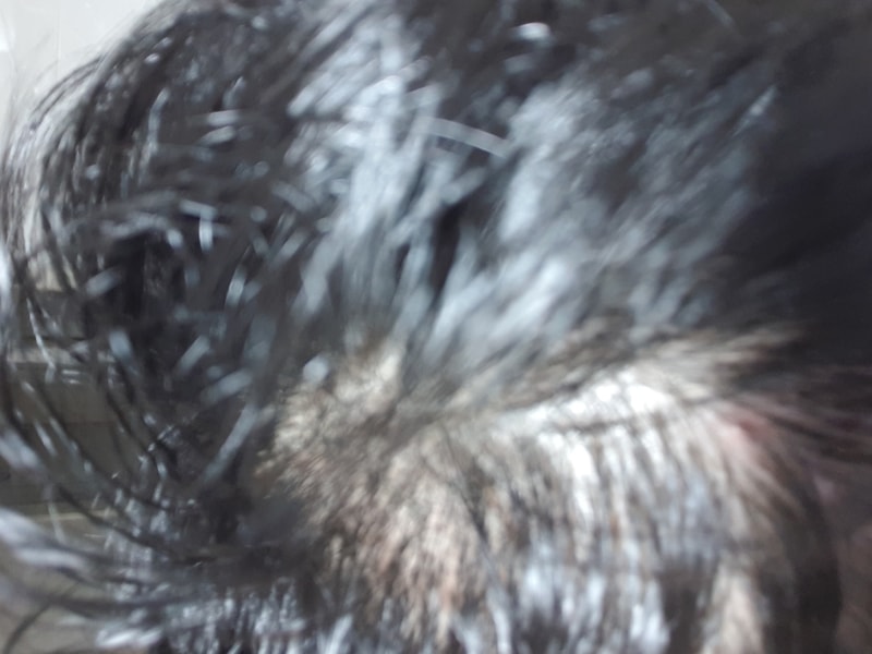 20180902_133625.jpg