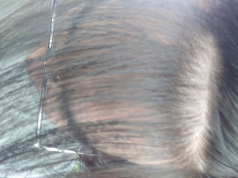 20190612_145940.jpg