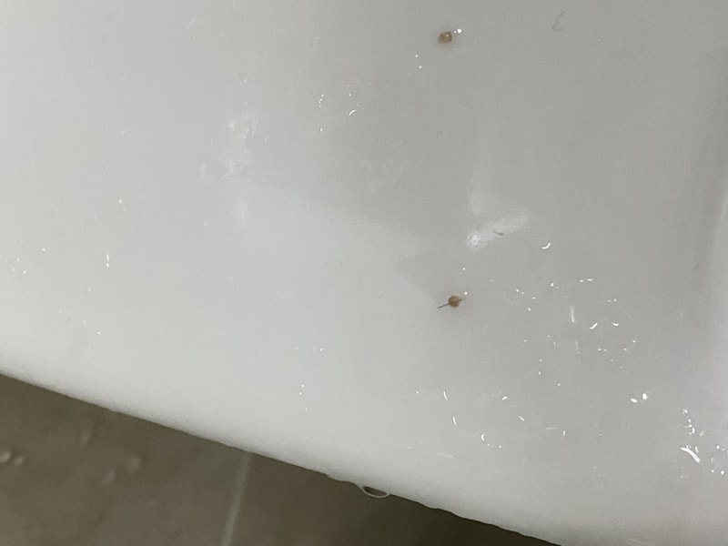 E7014D36-D7E8-4DF4-8D28-AB2369AFBAAD.jpeg