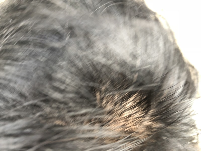 F4DED64E-5919-47EE-8143-9070FB37E276.jpeg