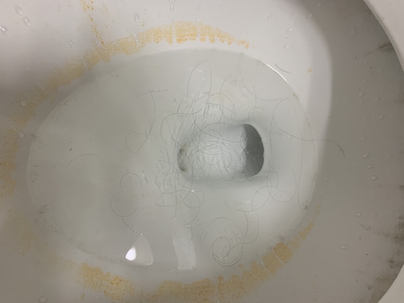 4A363ED4-0742-483D-9AF5-66707E60780D.jpeg