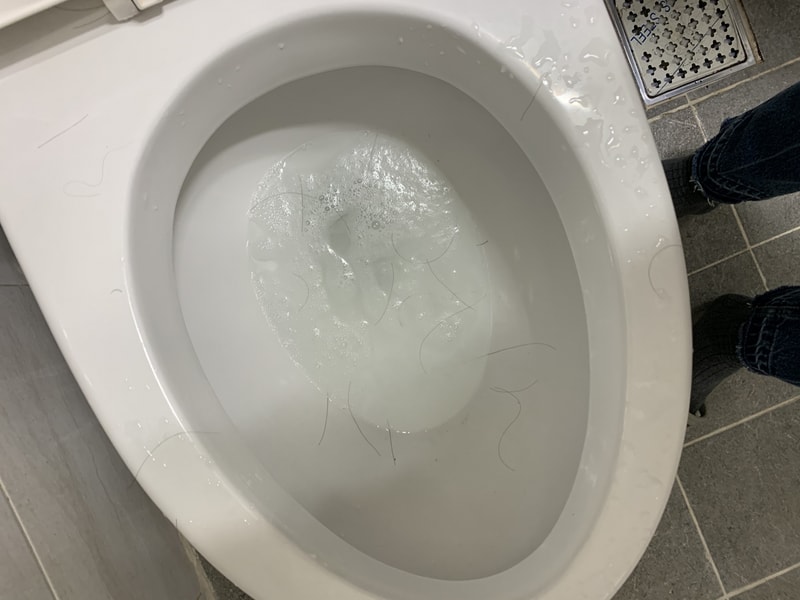 90FD83F3-3DDD-43D2-AF7C-08241709CFE0.jpeg