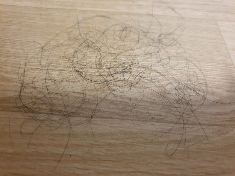20190826_235442.jpg