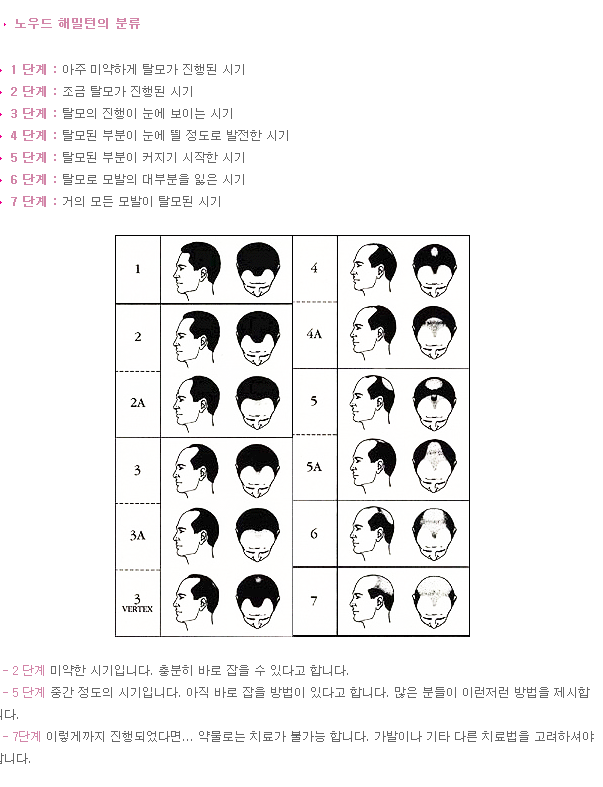 노우드 해밀턴.png