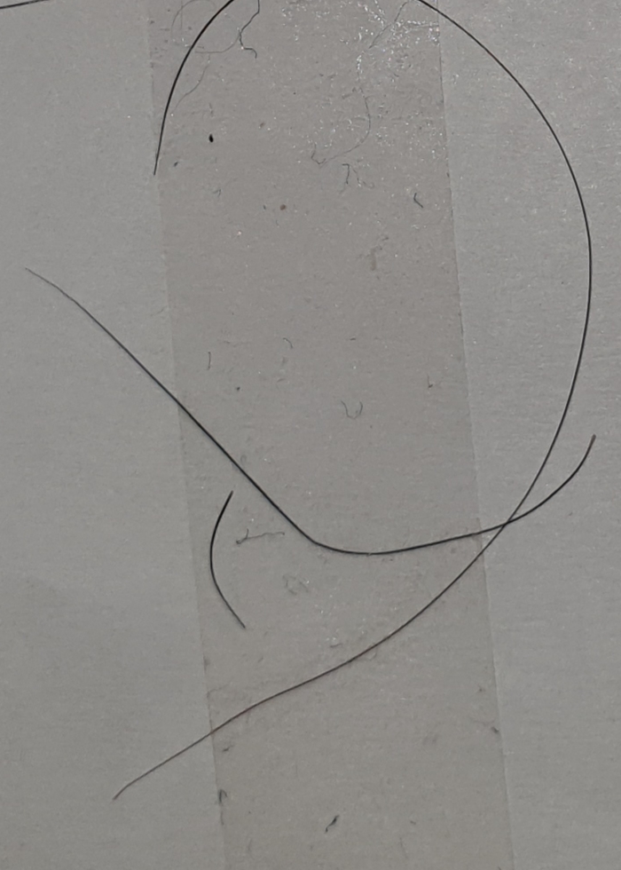 20191129_153725.jpg