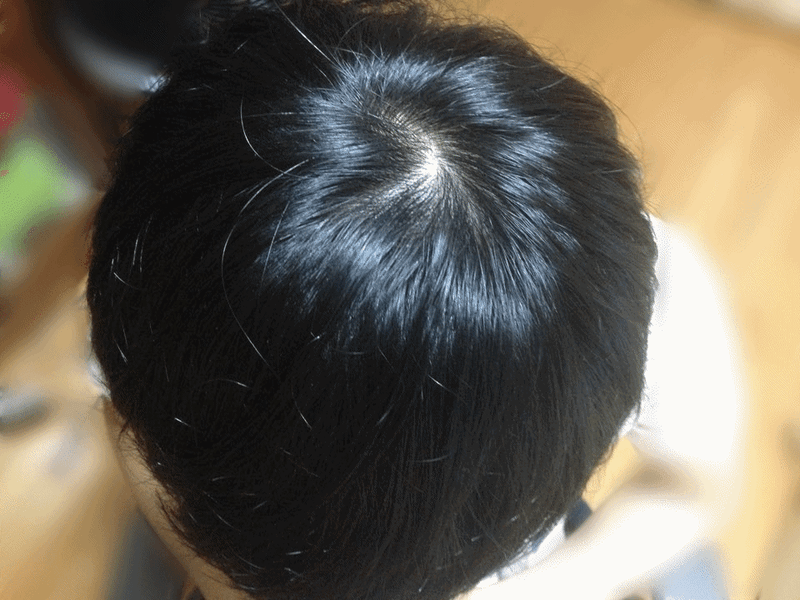 Photo_90.gif