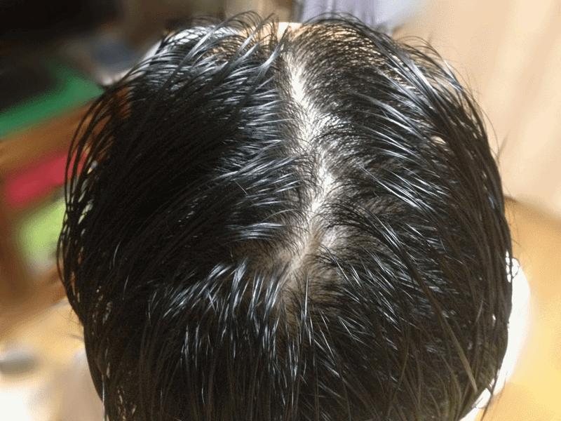 Photo_88.gif