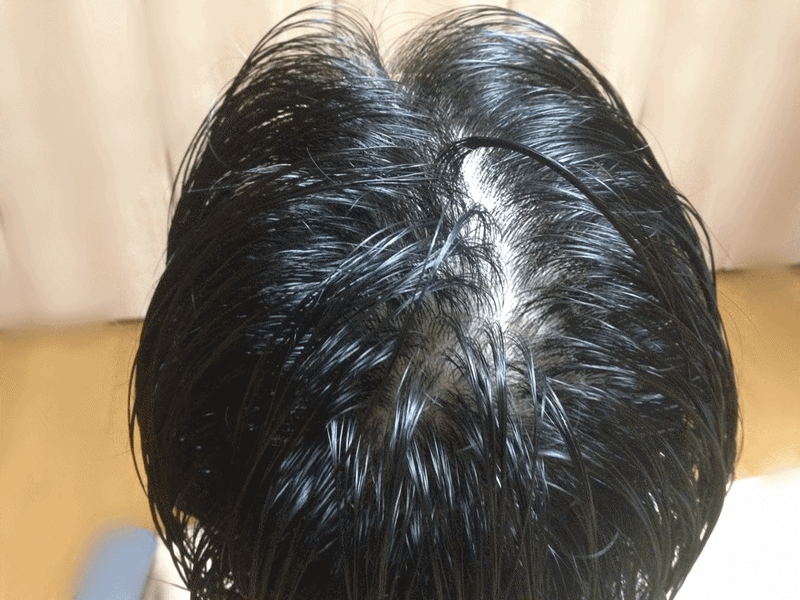 Photo_2.gif