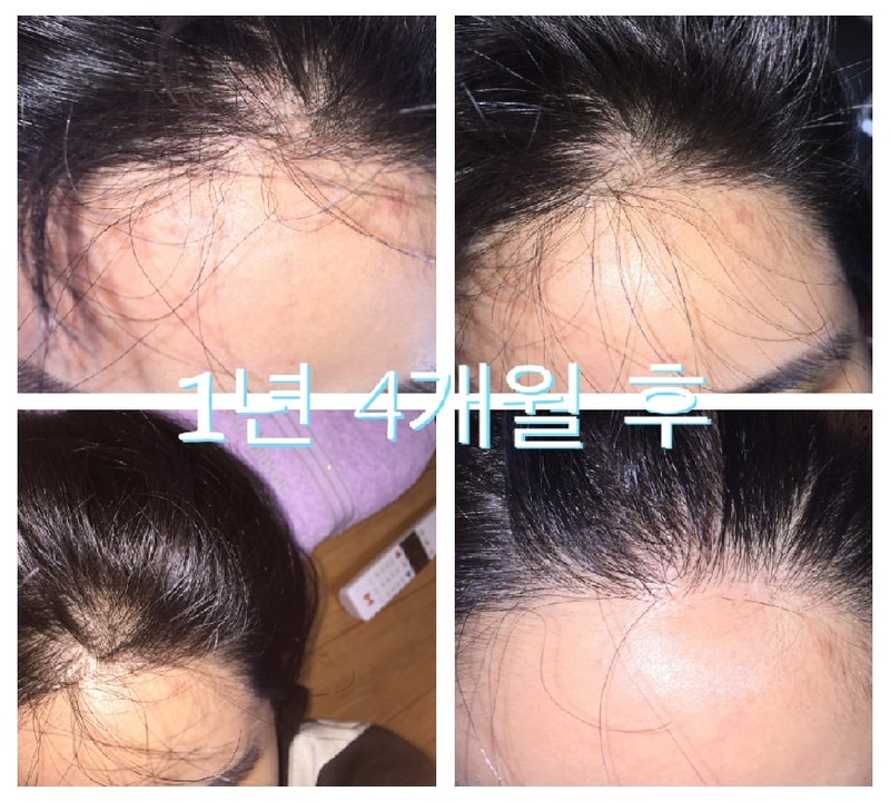 대다모2.jpg