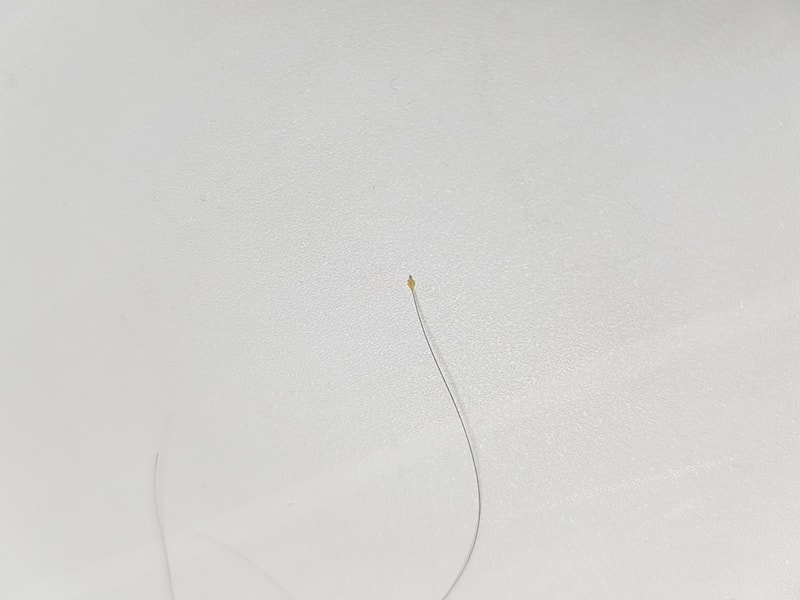 20170322_014646.jpg