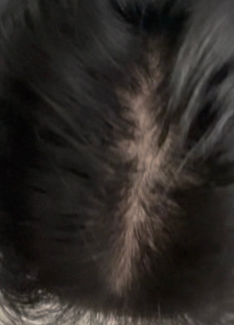 IMG_9775.jpeg